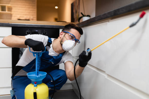 Best Pest Prevention Services  in Bayonet Point, FL