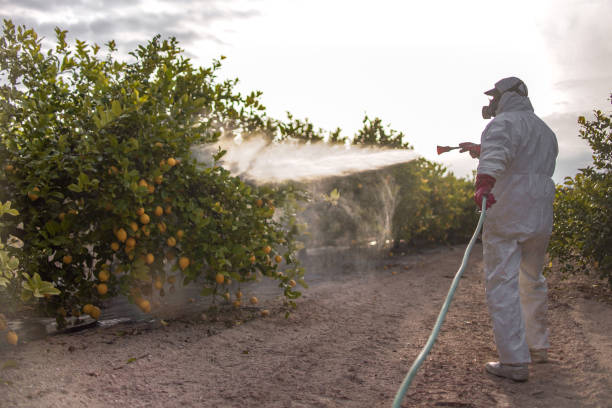 Best Residential Pest Control  in Bayonet Point, FL
