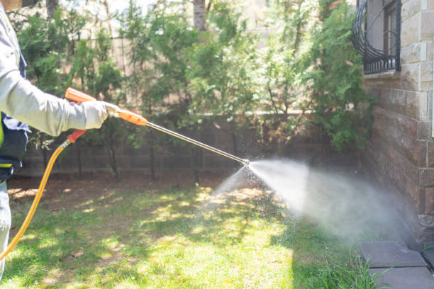 Best Local Pest Control Services  in Bayonet Point, FL