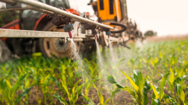 Best Commercial Pest Control Services  in Bayonet Point, FL